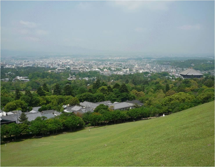 平成23年度登録　奈良公園と奈良盆地が眺望できる若草山中腹